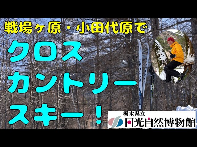 株式会社日光自然博物館