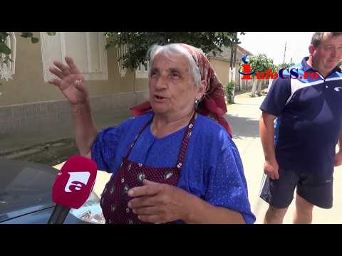 Sătenii din Zlatiţa terorizaţi de un lup