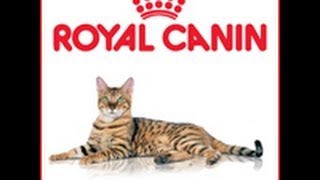 Royal Canin Sterilised 37 4 кг (2537040) - відео 5