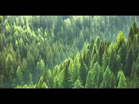 Hevia-Busindre Reel 1 hour [Extended Version] Relaxing music - Deep Focus - Landscape