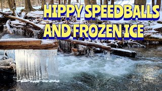 Solo Winter backpacking trip in the Allegheny NationalForest [trail vlog]