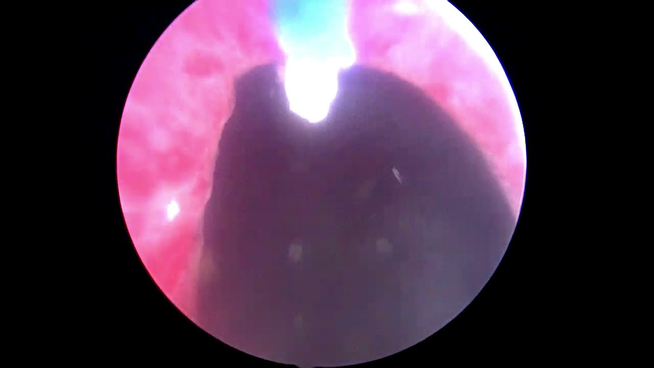 Pier Andrea Della Camera-84