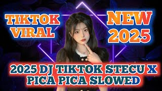 Download lagu 2025 DJ TIKTOK STECU X PICA PICA SLOWED VIRAL TIKTOK TERBARU FYP mp3