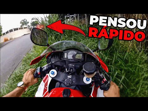 Vídeo Orgânico 1