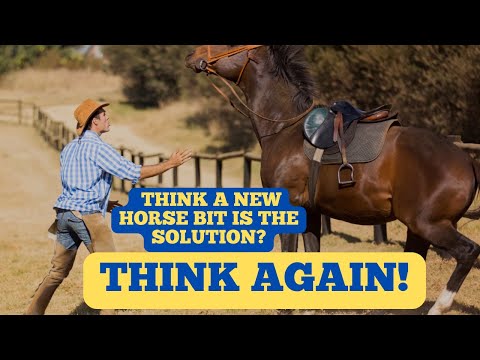 Why A Horse Bit Won't Solve Your Training Problems!