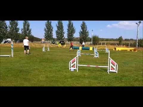 Kraft Agility Vizsga 2020. szeptember Lolka, Mani