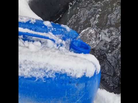 Ganzjährig frisches Wasser: Die beheizbare Weidetränke für alle Jahreszeiten