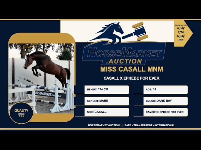 Miss Casall MNM