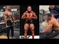 POWERLIFTING, BODYBUILDING, STRONGMAN