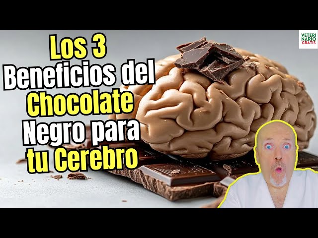 Vídeo relacionado con Quamtrax Nutrition - Protein LOOPS - Caja de 10 uds - Snack proteico, sin azúcares añadidos y crujiente. (10, Chocolate negro)