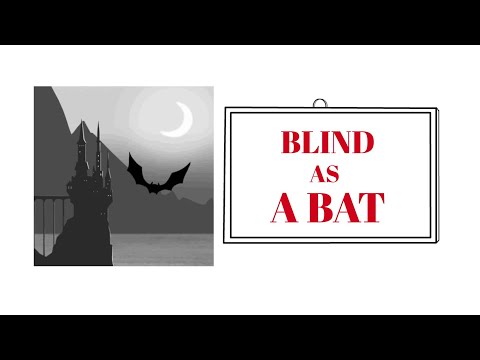 English Tutor Nick P Adjective Phrase (107) Blind as a Bat - Origin - Animated