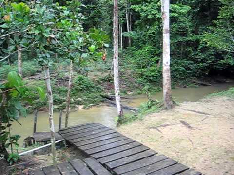 Amazon Adventure - The camp at Lodge Tupana Aru