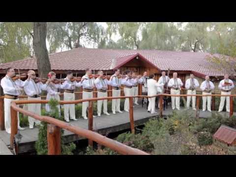Orchestra Mugurel din Chisinau - Taraneasca