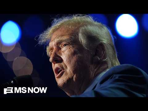 Americans are ‘all out of give a damns’ with this Trump presidency: Dem strategist