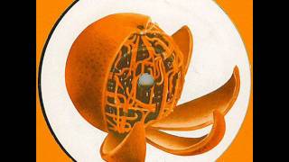 DJ ESP -- Straight Edge Raver.wmv