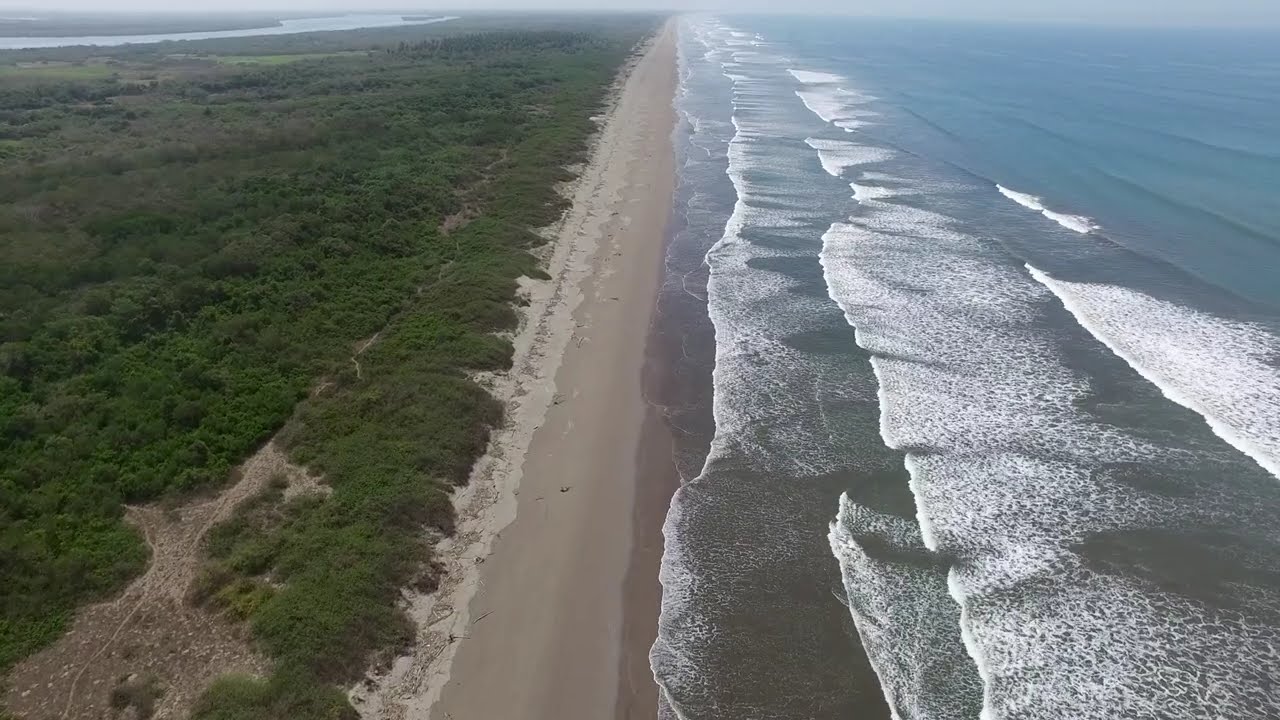 000 Isla Novillero Sl24-11633