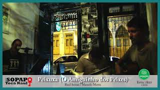 Banda Sopapo - Peixuxa (O Amiguinho dos Peixes) (Raul Seixas / Marcelo Motta)