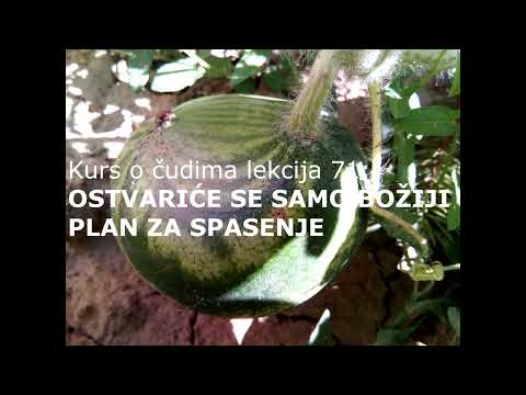 HRISTOVA UČENJA KURS O ČUDIMA LEKCIJA 71