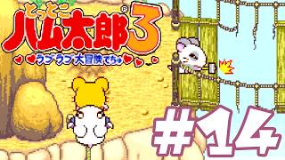 #14 初老男性、木の板を探し回る『とっとこハム太郎３ ラブラブ大冒険でちゅ』攻略実況プレイ