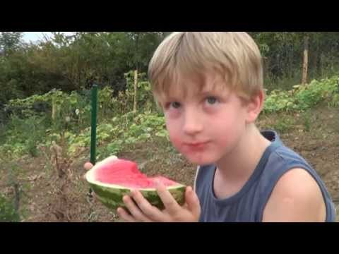 "Pravi svoju sudbinu" ili "gledaj svoj posao" ?