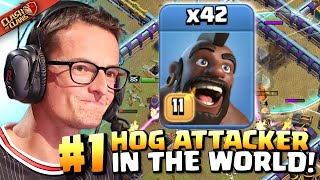 Synthé’s HOG attacks are getting RIDICULOUS! IN