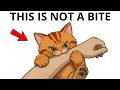 The Real Reason Your Cat BITES You Shocking