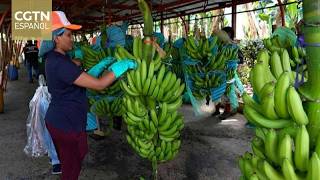 Expectativa entre empresarios ecuatorianos por la visita del presidente Noboa a China