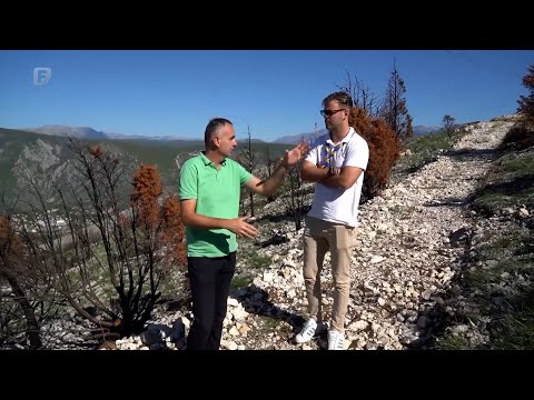 Boranka – video prilog