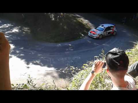 Rally citta di camaiore 2014-2015