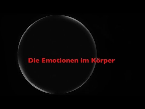 The emotions in the body
