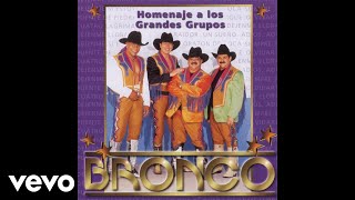 Bronco - El Golpe Traidor (Cover Audio)