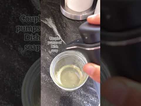 How to Get Rid of Fruit Flies and Gnats