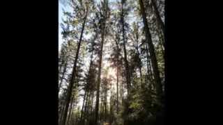 Trapp Family Singers - Folk Songs (1)