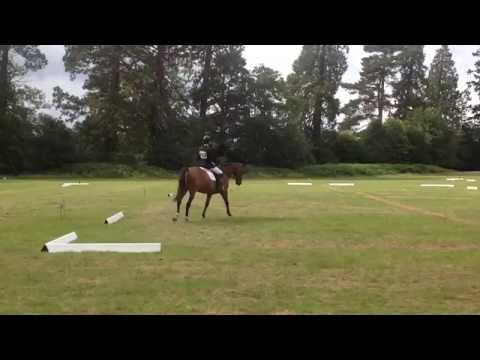 Rockabilly - Eridge Horse Trials / BE100