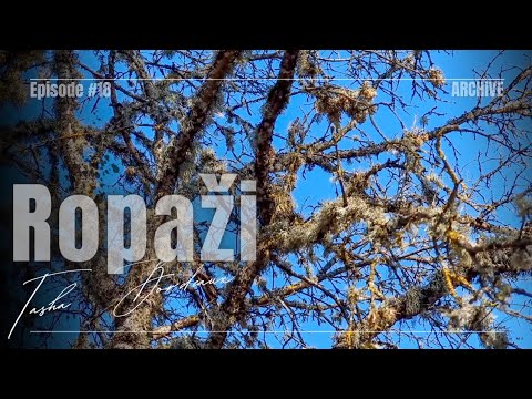 Что за Абхазия? Ropaži. Latvija. Пропажи. Латвия. Влог.