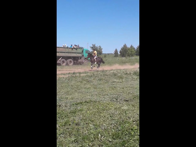 Сабантуй - 2019 в Камском Устье: конные скачки