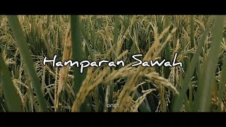 Download lagu Cinematic Sawah Pedesaan | Nature Cinematic Video mp3