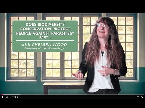 Does biodiversity conservation protect people against parasites? Part 1