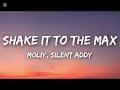 Moliy Silent Addy Shake It To The Max