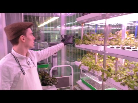 Berlin’s Startup Scene #4 Infarm