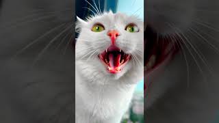 СОФУ ВЫГНАЛИ ИЗ ДОМА 😭 @mozabrick   #funny  #cat #pets #animals #funnycats #memes #comedy