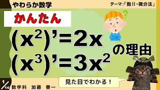 【やわらか数学】(x^2)'=2xや(x^3)'=3x^2の図形的説明