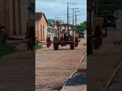 Continuam as plantações em Hidrolândia de Uibaí-Bahia. 08,12,2025, dia de Nossa Senhora da Conceição