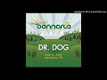 02 The Pretender (Live from Bonnaroo, 2007) - Dr. Dog