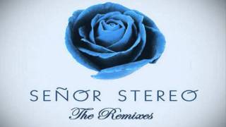 Senor Stereo - Unintentional (U-Tern remix)