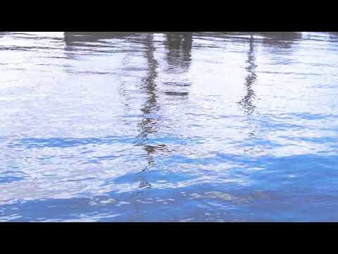 Naji Hakim - Méditation 2021