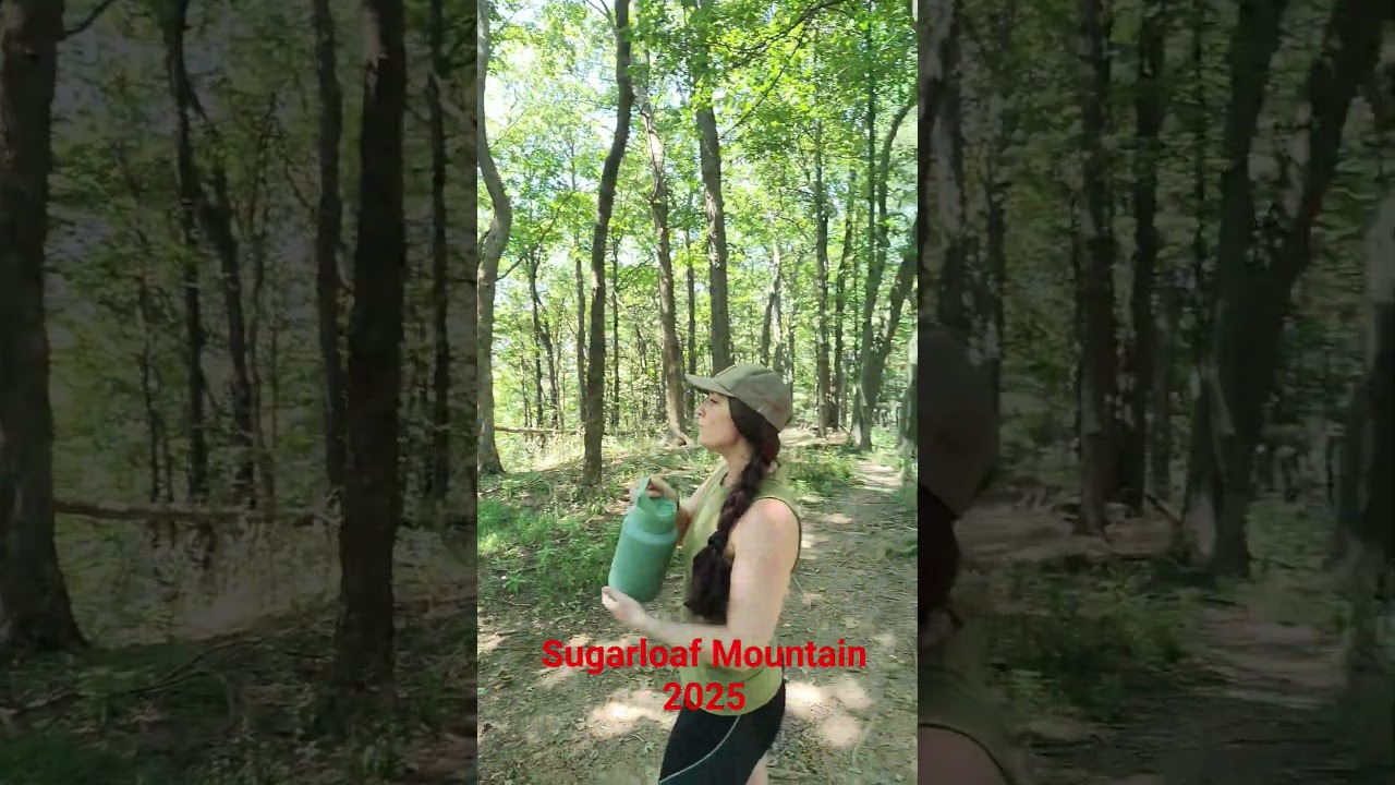 Sugarloaf Mountain 2025