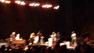 Karl Denson's Tiny Universe - Seven Nation Army Cover - Williamsburg Park, Brooklyn NY