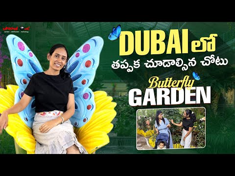 Dubai Butterfly Garden video thumbnail