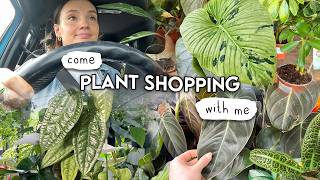 Houseplant Road-Trip 🌱 Come Shopping With Me at 4 Garden Centres!